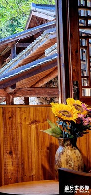 發(fā)組風(fēng)景