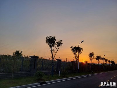 【秋意正濃】傍晚