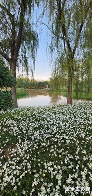 秋天路邊的野花不要采。