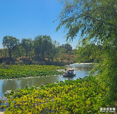 【秋意正濃】+悠閑自在