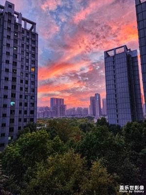 最美不過夕陽紅