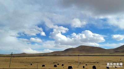 深秋的季節(jié)