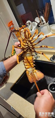 三星相冊的問題