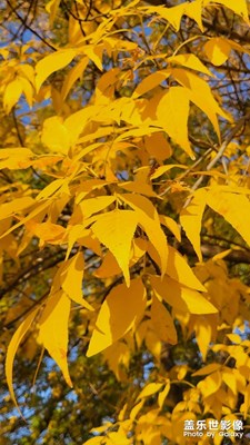 人間忽晚，山河已秋