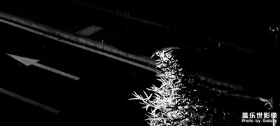 【好風(fēng)光】+隔離期間