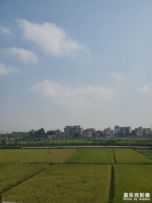 【好風(fēng)光】+ 秋收