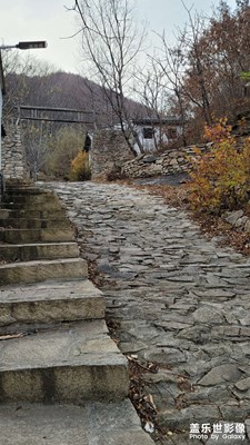 山莊