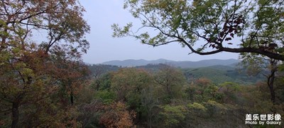 日常隨拍之（秋意濃）