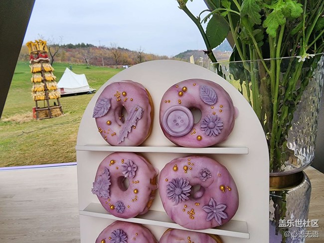 Galaxy Z Flip4體驗會花絮