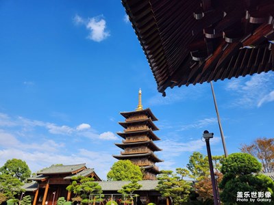 三星 W23 Flip上手第一拍-寶山寺