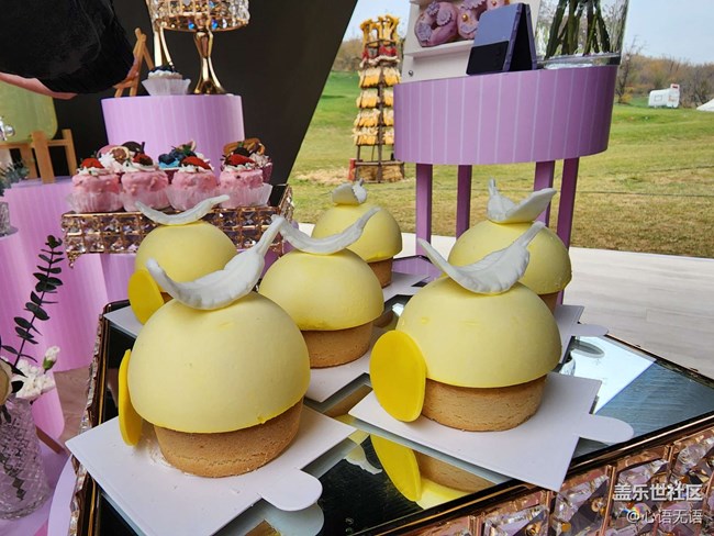 Galaxy Z Flip4體驗會花絮