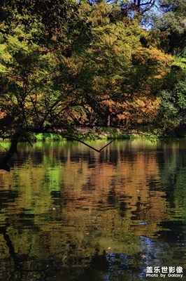 罨畫(huà)池的秋天