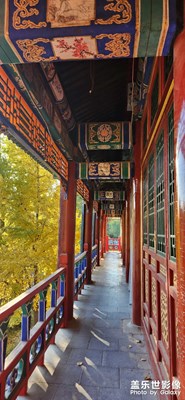 【多彩生活】秋游大觀園