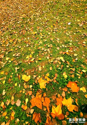 【多彩生活】+ 曬秋