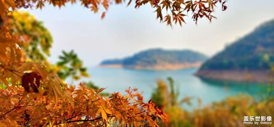 【秋去冬來】+難忘·南方秋末