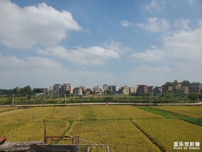 【秋去冬來】+ 秋收