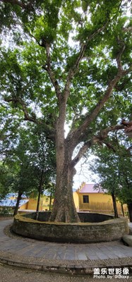 隨手拍拍，記錄生活。