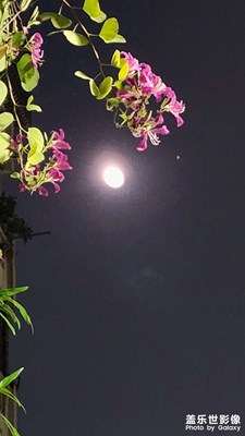 火星與月亮會合