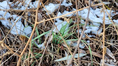 2022年的第一場(chǎng)雪