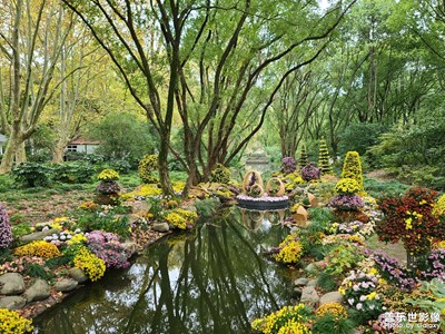 【秋去冬來(lái)】共青森林公園