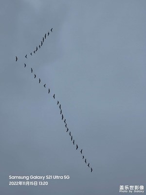 今日陰雨天剪影