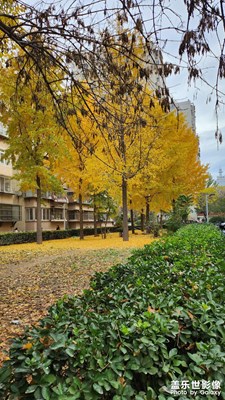 【秋去冬來】深秋