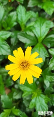 如果你拍得不夠好，請(qǐng)看過(guò)來(lái)