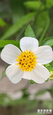 越來(lái)越近，心動(dòng)的感覺(jué)…