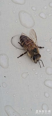 又是下雨天哦。。