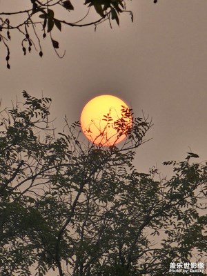 【初冬的景象】日出