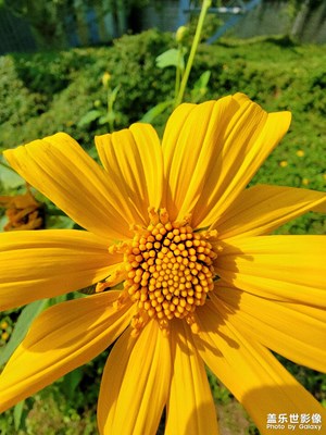 徒步路上的美景