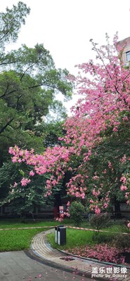 繼續(xù)拍，越來(lái)越好