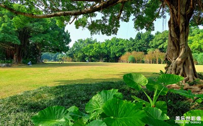 【生活的色彩】休閑隨拍