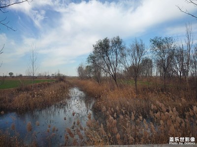 【生活的色彩】生活處處是風(fēng)景