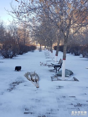 冬天第一場(chǎng)雪