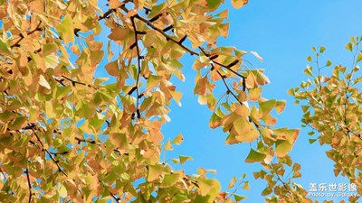 您瞧 一陣秋風(fēng)吹過