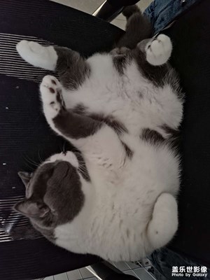 『Note20 Ultra』有待進(jìn)步的夜視儀