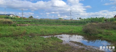 南風(fēng)天，，熱。。。