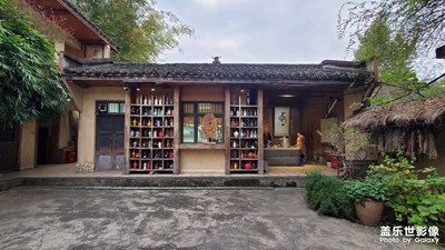 這院子好漂亮哦