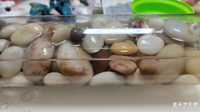 海邊撿的小石頭