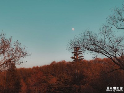【天光凈影】+ 晚秋