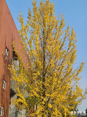 【天光凈影】+風(fēng)和日麗