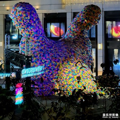 興業(yè)太古匯隨手拍