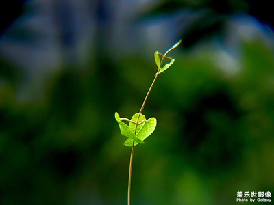 畫面感還不錯(cuò)