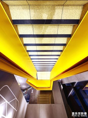 【難忘2022】自在獨行