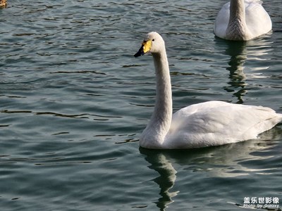 后疫情時(shí)代