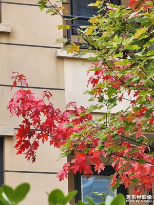 【難忘2022】+我的2022精彩瞬間