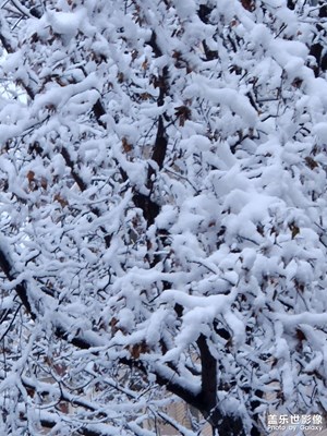 【難忘2022】+那場大雪