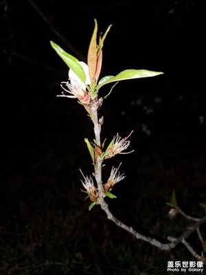 【難忘2022】+2022的春天