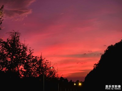 【難忘2022】記錄研究生生活